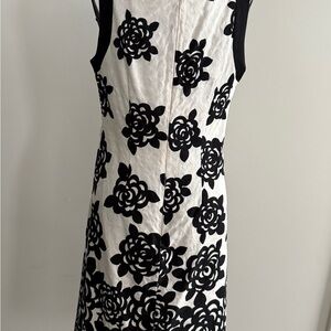 Dressbarn Elegant Cream Blouse